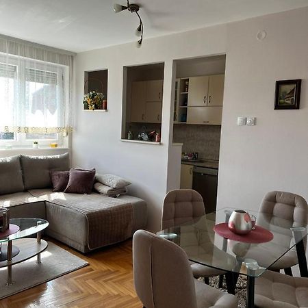 Apartman As Apartment Kraljevo Bagian luar foto